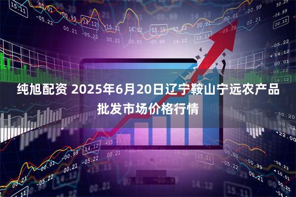 纯旭配资 2025年6月20日辽宁鞍山宁远农产品批发市场价格行情